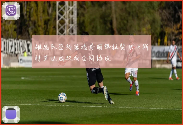 雄鹿队签约落选秀前锋拉斐尔卡斯特罗达成双向合同协议